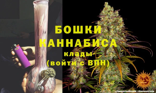 гидра Балахна