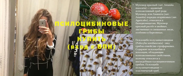 гидра Балахна