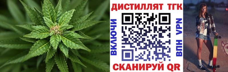 Дистиллят ТГК Wax  Купить закладки  Талица 