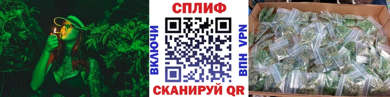 Бошки Шишки SATIVA & INDICA Талица
